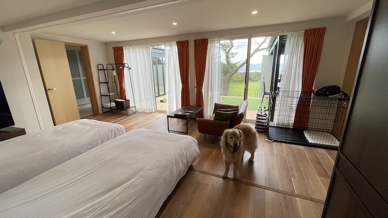 Pet Insurance NerdTicket