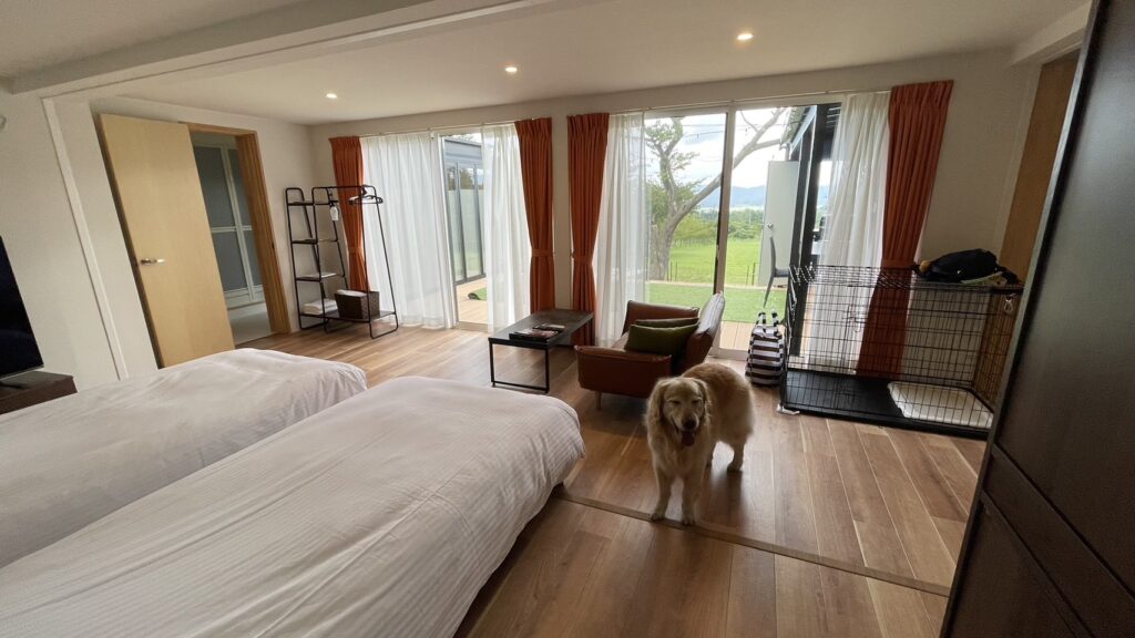 pet insurance keeps your furry friend safe