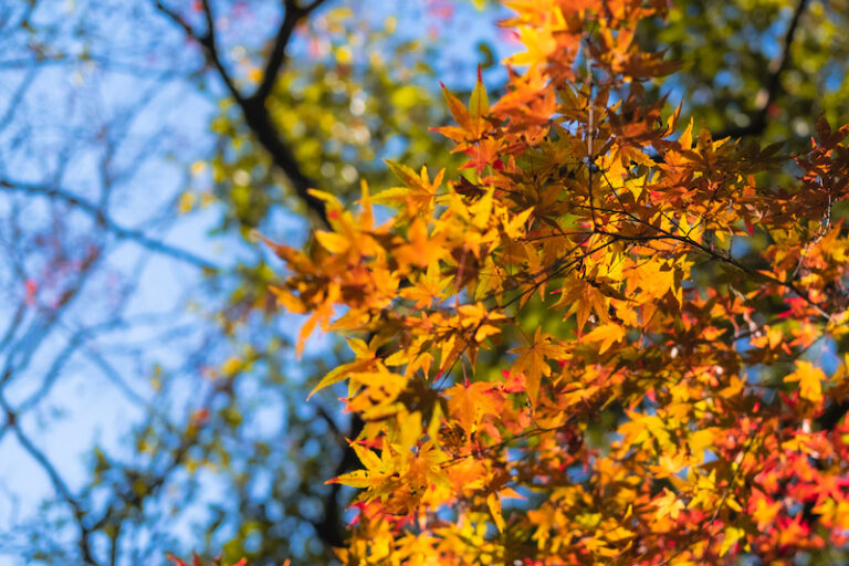 Best Way To Find Happiness Is Through Travel