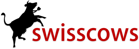 Best Google Alternative Swisscows search engine